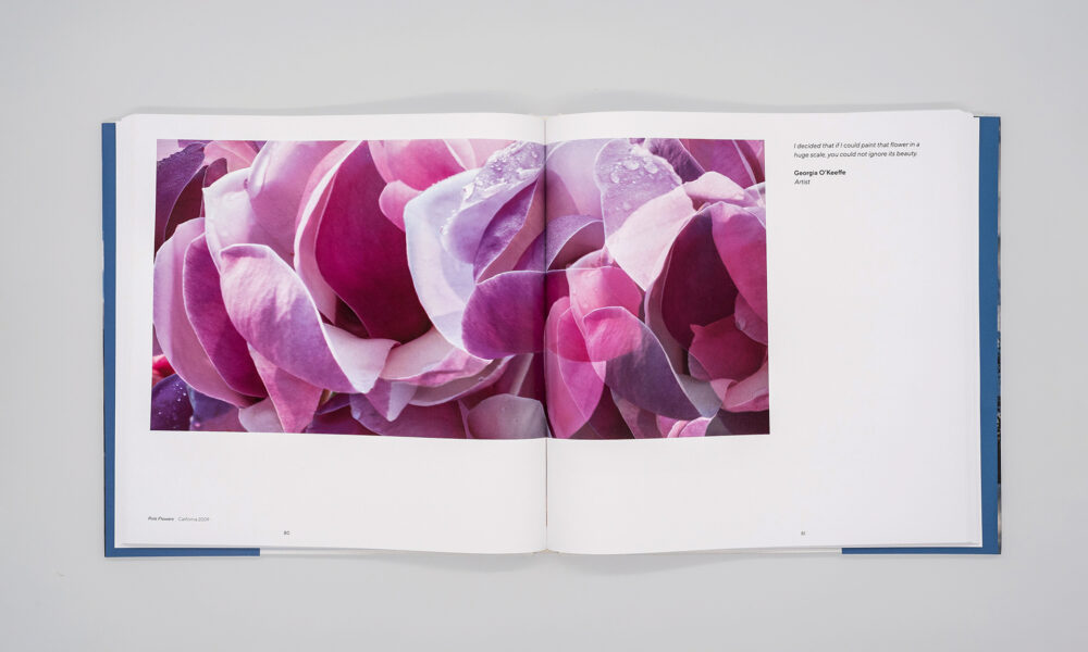 Layered Landscapes. Book spread, design by Pablo Mandel.