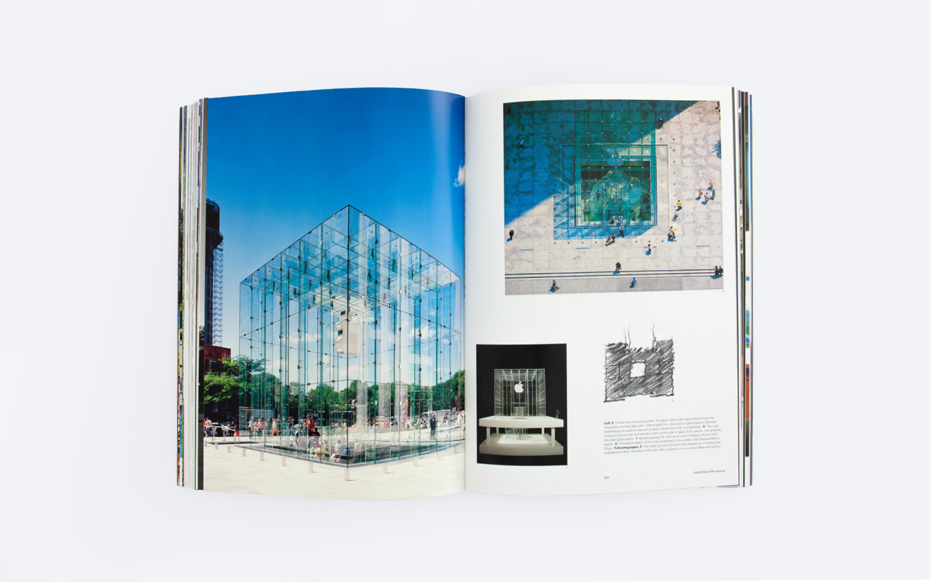 nature of circumstance 6